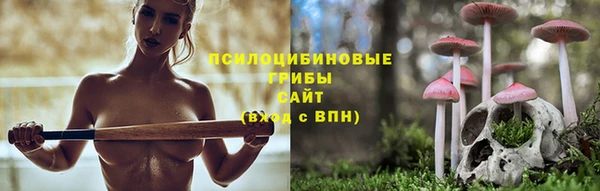 эйфоретик Горно-Алтайск