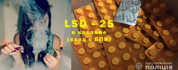 ПСИЛОЦИБИНОВЫЕ ГРИБЫ Вязники
