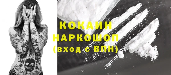 ПСИЛОЦИБИНОВЫЕ ГРИБЫ Вязники