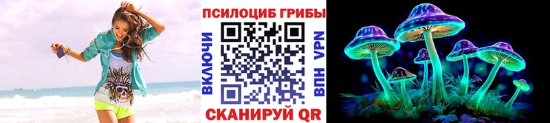 Галлюциногенные грибы Psilocybine cubensis  Еманжелинск 