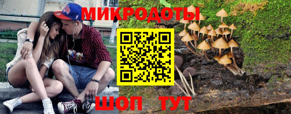 Галлюциногенные грибы Psilocybine cubensis  Еманжелинск 