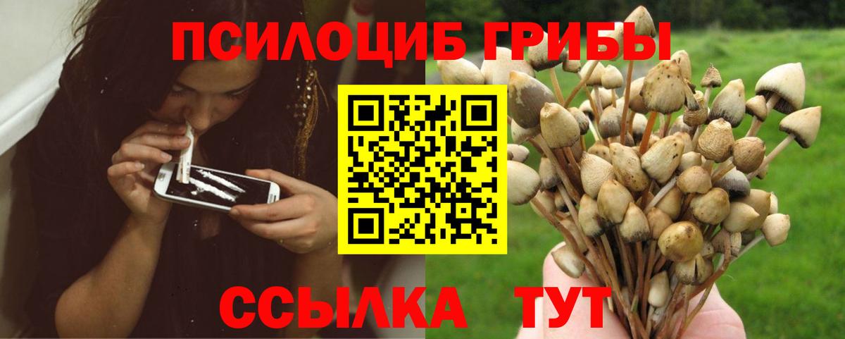 Псилоцибиновые грибы мицелий Еманжелинск
