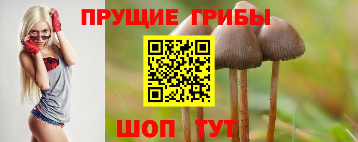 Галлюциногенные грибы Psilocybine cubensis  Псилоцибиновые грибы мухоморы  Еманжелинск  Вход с VPN 